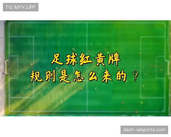 青少年足球规则的关键判罚标准与适用范围解析